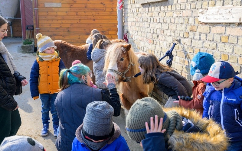 Lhistoire-dun-cheval-a-la-ferme-1
